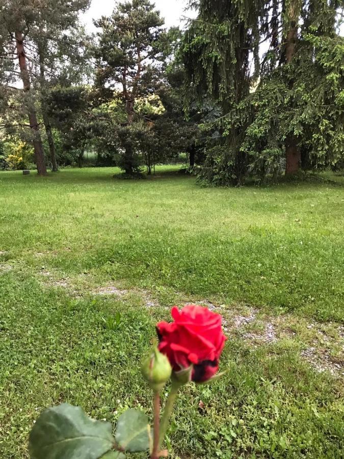 Valleverde Caraglio Kültér fotó